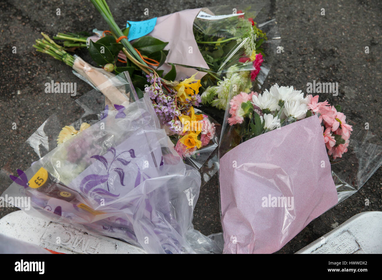Westminster, London, UK 23 Mar 2017- homenajes florales en Westminster Bridge. Scotland Yard dijo el 23 de marzo de 2017 que la policía ha realizado siete arrestos en redadas realizadas durante la noche en Birmingham, Londres y otras ciudades en el país tras el ataque terrorista en el Palacio de Westminster y el puente de Westminster, el 22 de marzo de 2017, dejando un saldo de cuatro muertos, incluido el atacante, y 29 personas resultaron heridas. Crédito: Dinendra Haria/Alamy Live News Foto de stock