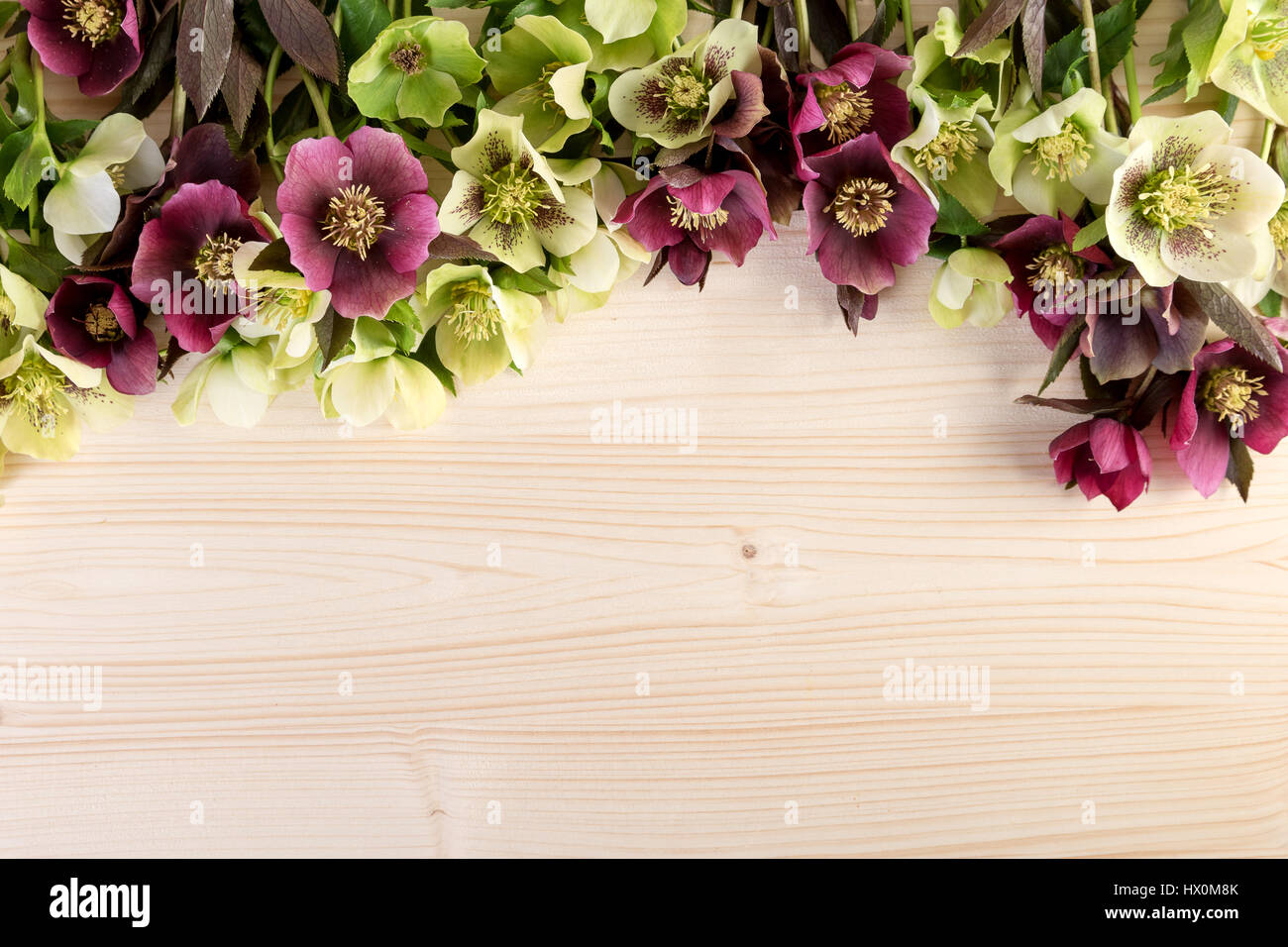 Flores de primavera fondo natural de color pastel. Rosas cuaresmal más luz mesa de madera espacio de texto Foto de stock