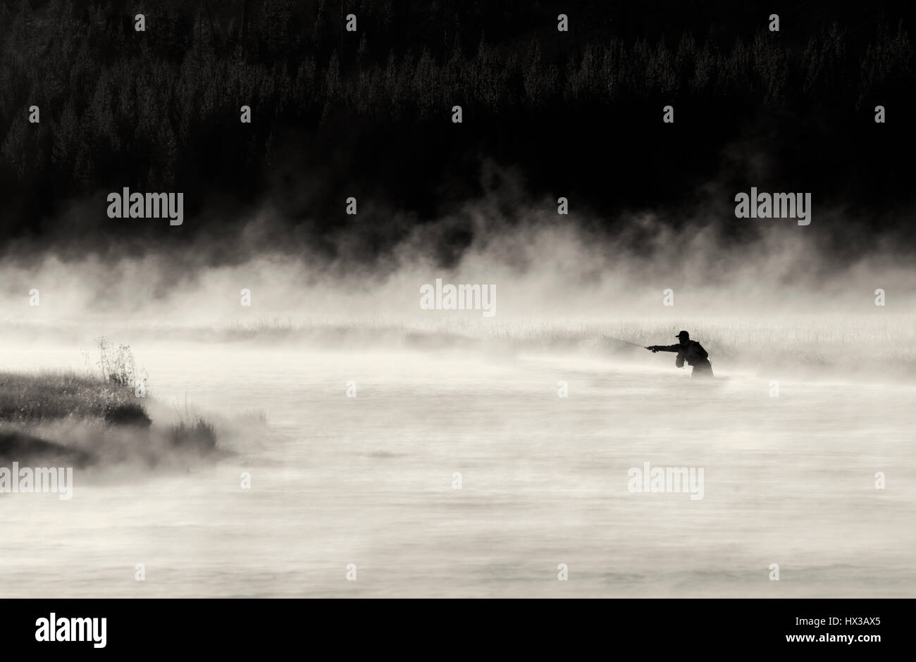 Pescador con mosca en Madison River con niebla por la mañana temprano. El Parque Nacional Yellowstone, Wyoming Foto de stock