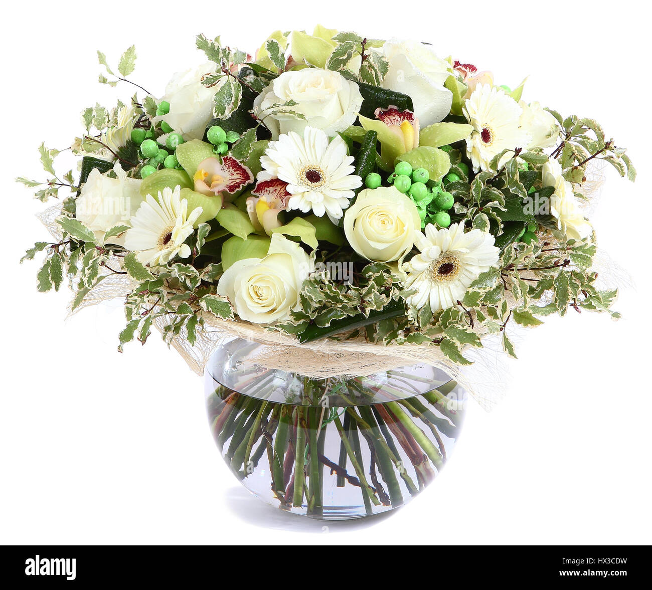 Arreglo floral en vidrio transparente florero: rosas blancas, orquídeas y  margaritas, gerberas blancas arvejas verdes. Aislado sobre fondo blanco.  Compos florística Fotografía de stock - Alamy