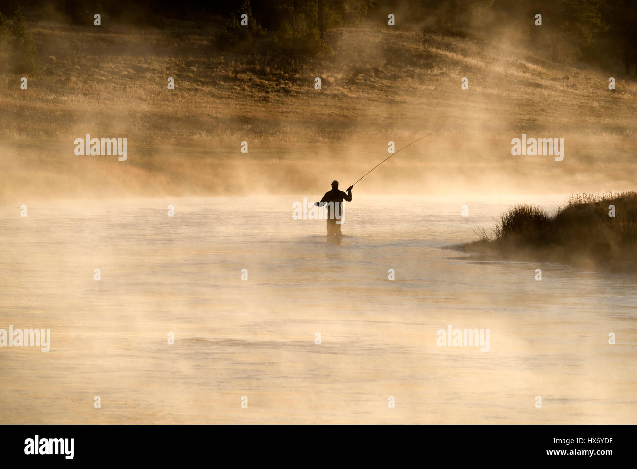 Volar Fiisherman en Madison River con niebla por la mañana temprano. El Parque Nacional Yellowstone, Wyoming Foto de stock