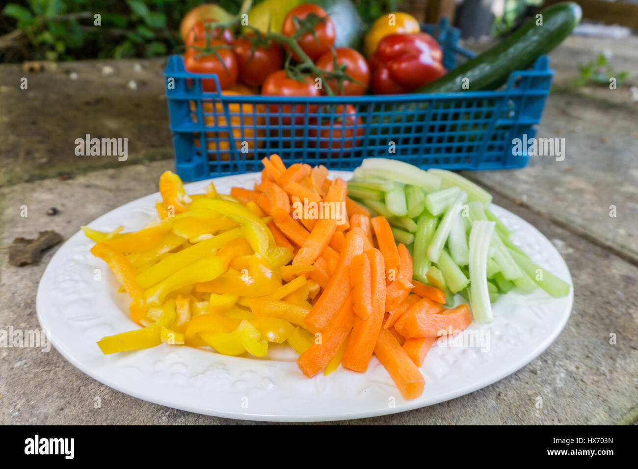 Las zanahorias y los pimientos troceados cellery Foto de stock