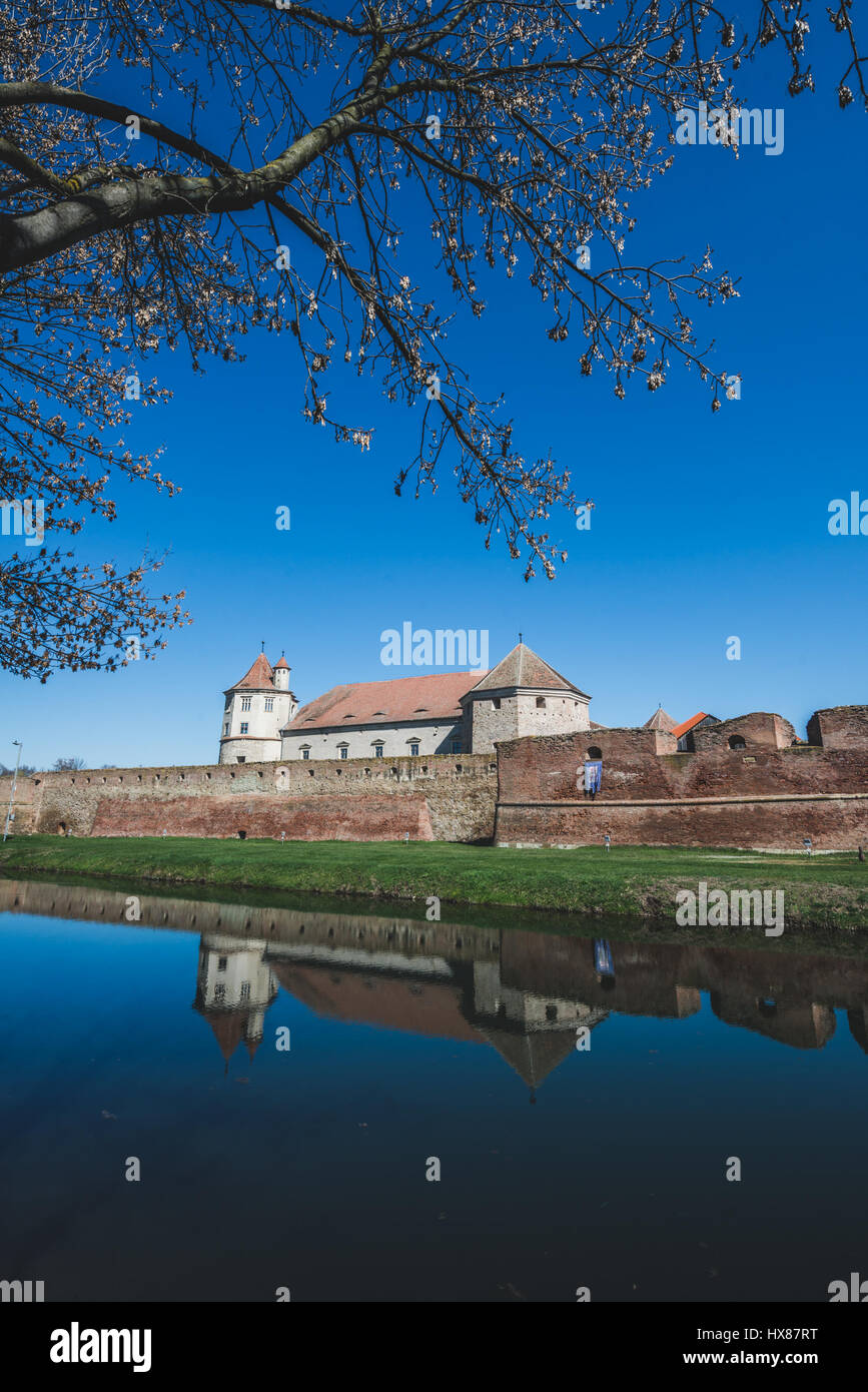 Enero de 2017: El castillo de Fagaras, Rumania Foto: Cronos/Alessandro Bosio Foto de stock