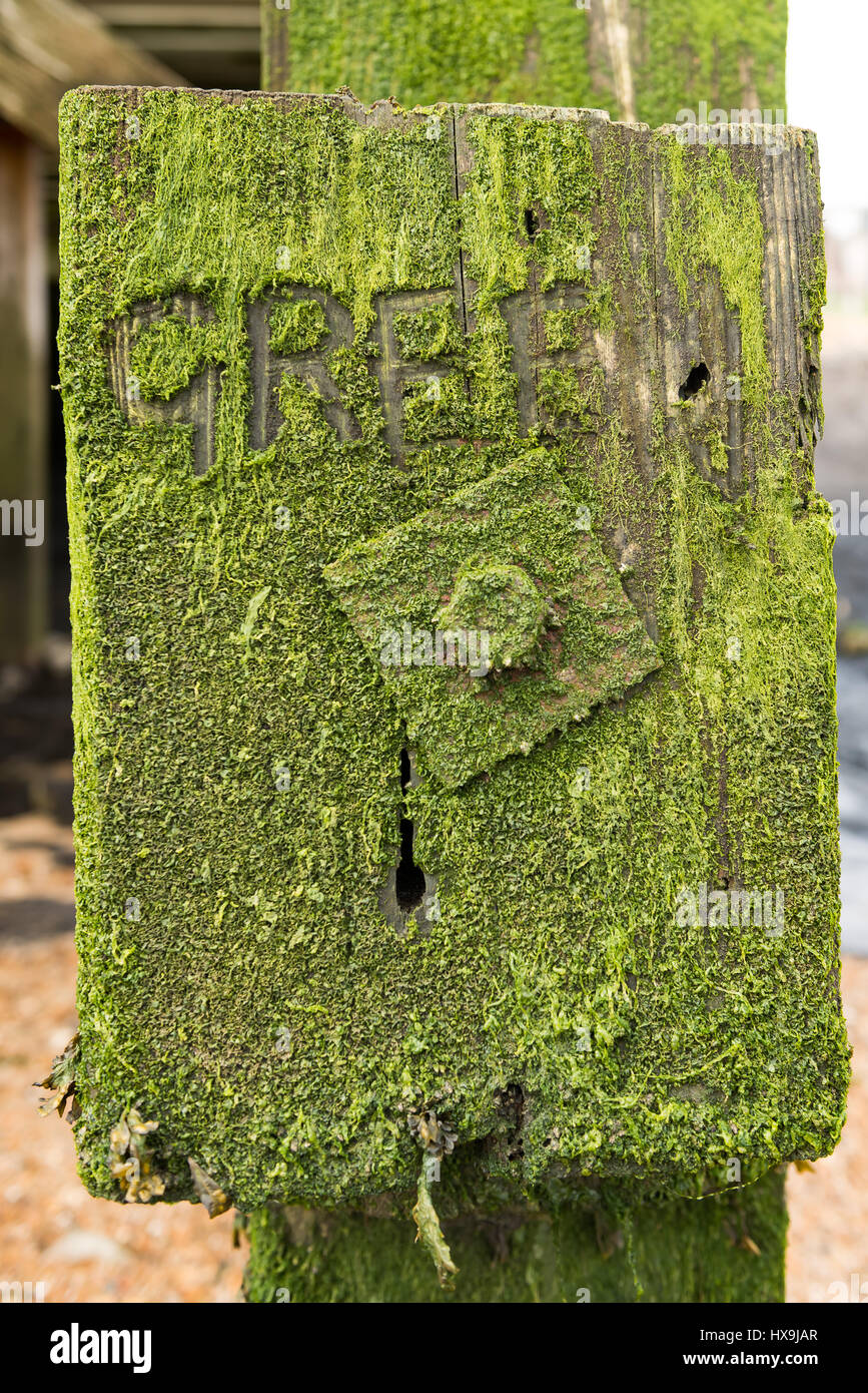 La palabra verde musgo tallados en madera en un puesto por el mar o la costa en Leigh sobre mar en Essex Foto de stock