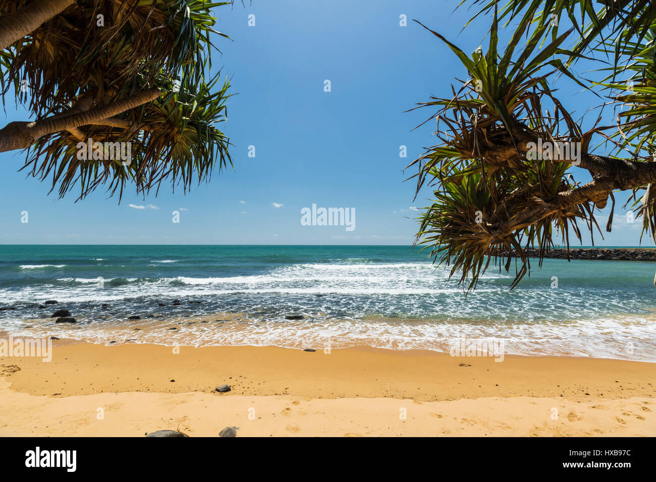 Vista a través de la playa palmeras pandanus en Bargara, Bundaberg, Queensland, Australia Foto de stock
