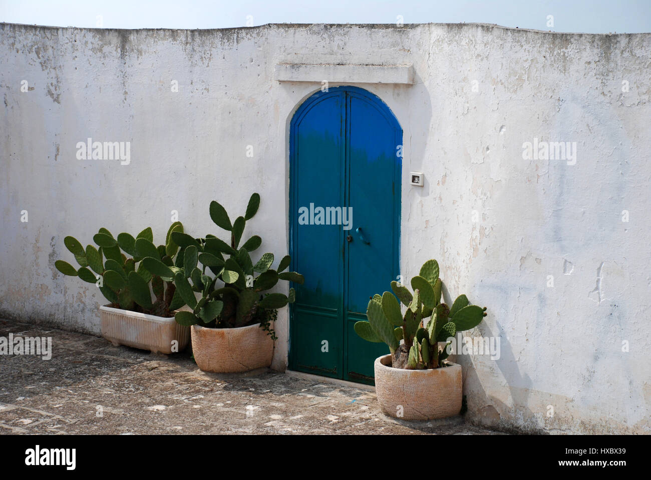 Puerta azul brillante a lo largo de una pared blanca. En cualquiera de los lados de la puerta son cactus en macetas. Ostuni, Italia Foto de stock