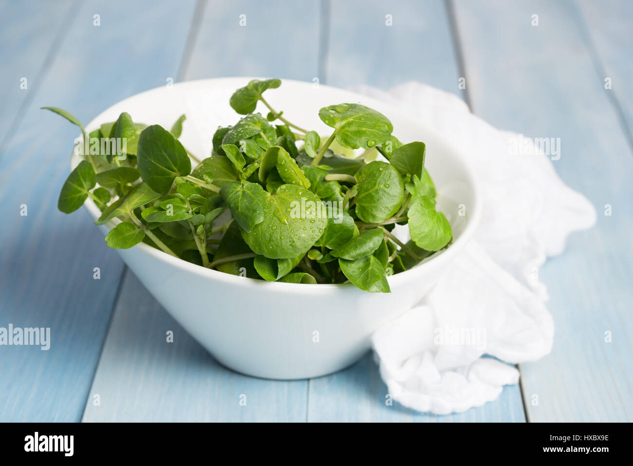 Berro fresco en una jarra con muselina blanca Foto de stock
