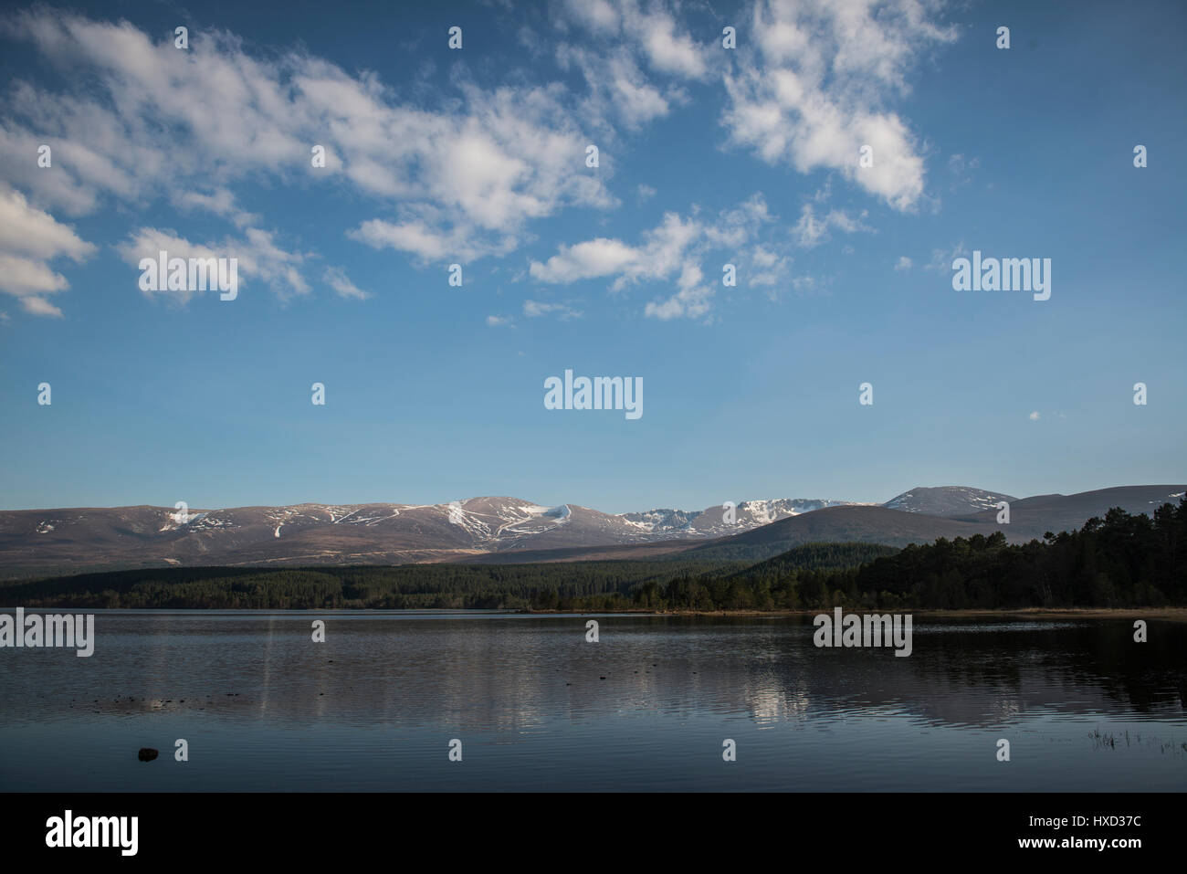 Aviemore, Escocia, Reino Unido el 27 de marzo de 2017 REINO UNIDO Clima: Cielos Azules sobre loch Morlich y Montañas Cairngorm como temperatures​ aumento a 19˚C en el altiplano. Foto de stock