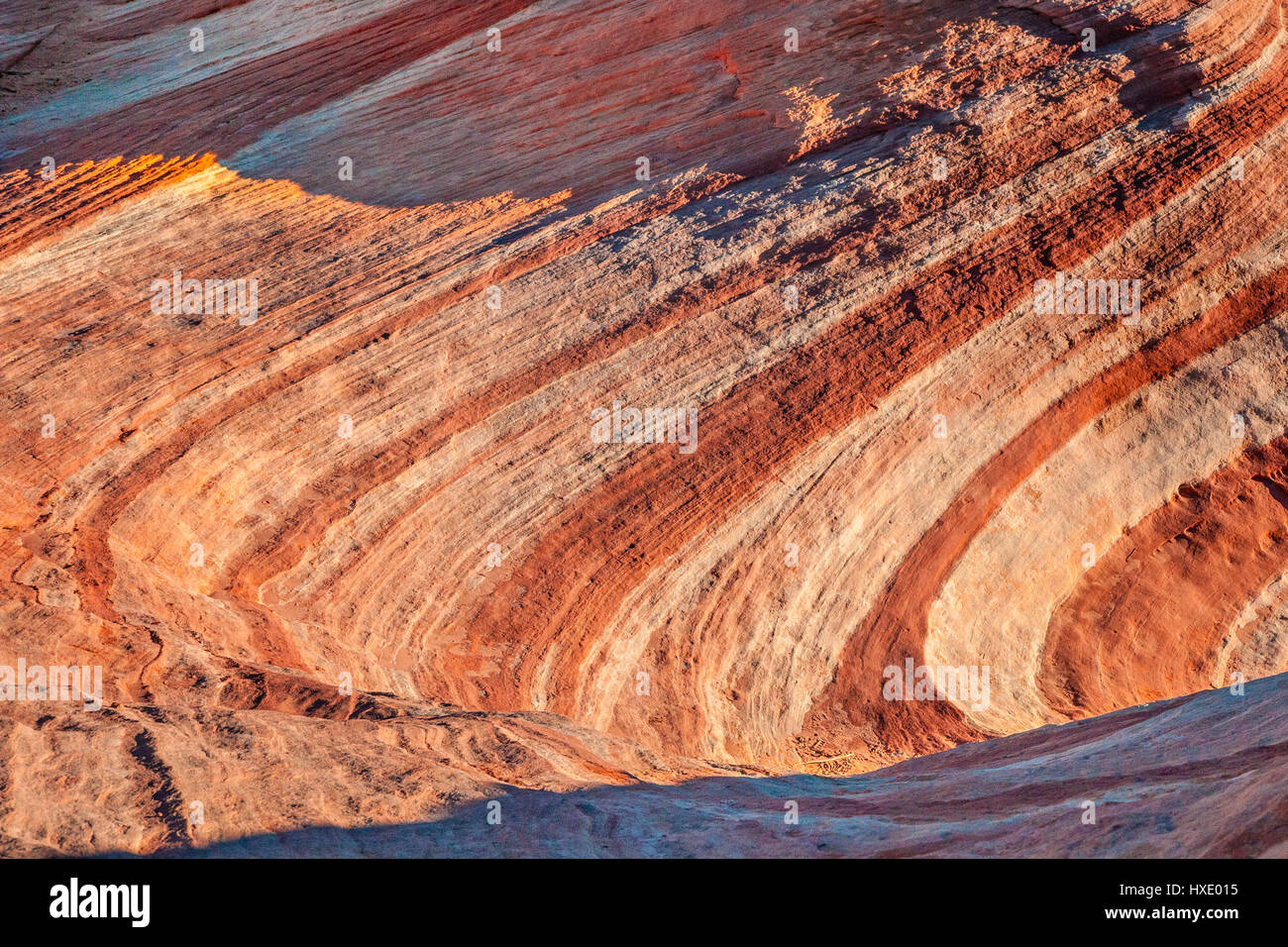 En el patrón de onda de piedra arenisca roja El Parque Estatal Valle del Fuego, Nevada Foto de stock