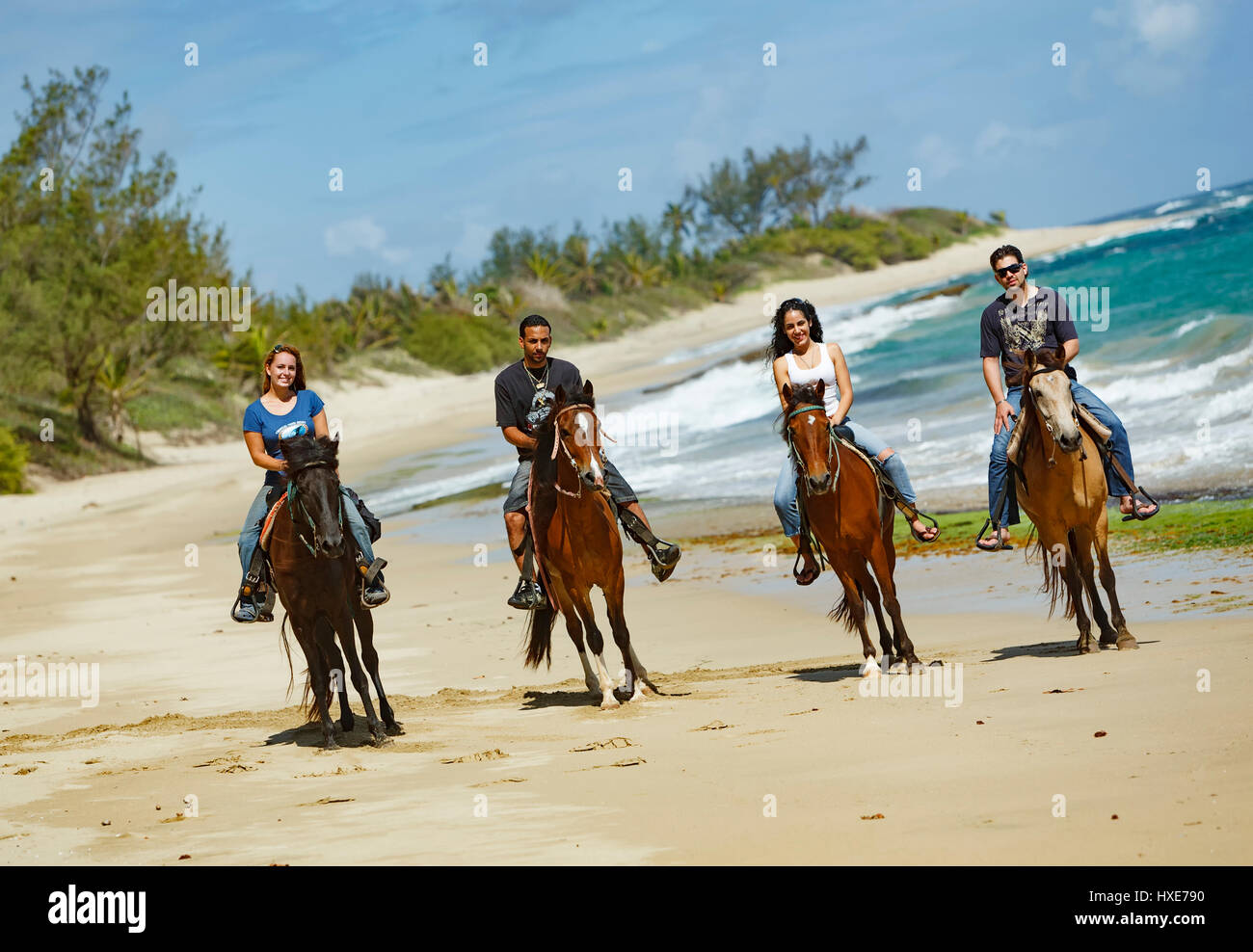 Paseos a caballo en la playa con Tropical Trail Rides, Isabela, Puerto Rico  Fotografía de stock - Alamy