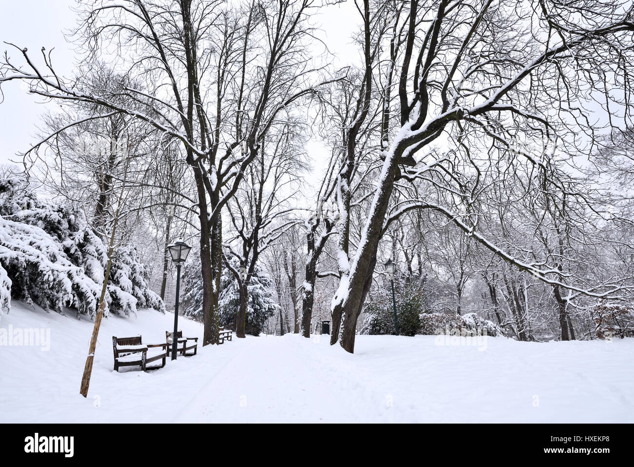 Parque de la ciudad en la ciudad de Brno, República Checa - cubierto de nieve fresca en enero Foto de stock