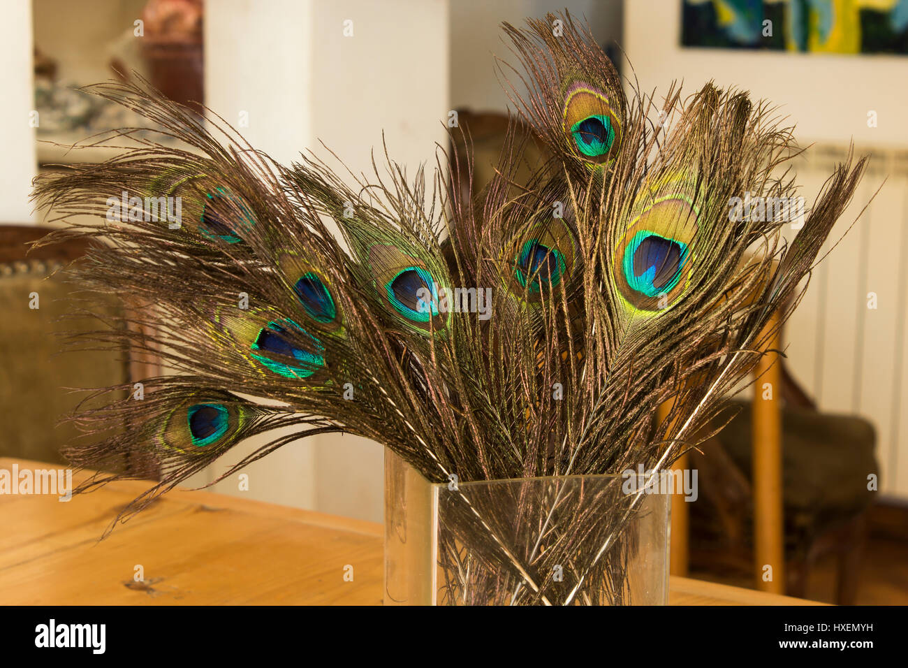 escaldadura Continuamente Lengua macarrónica Plumas de pavo real en un florero sobre la mesa en el Salón Fotografía de  stock - Alamy
