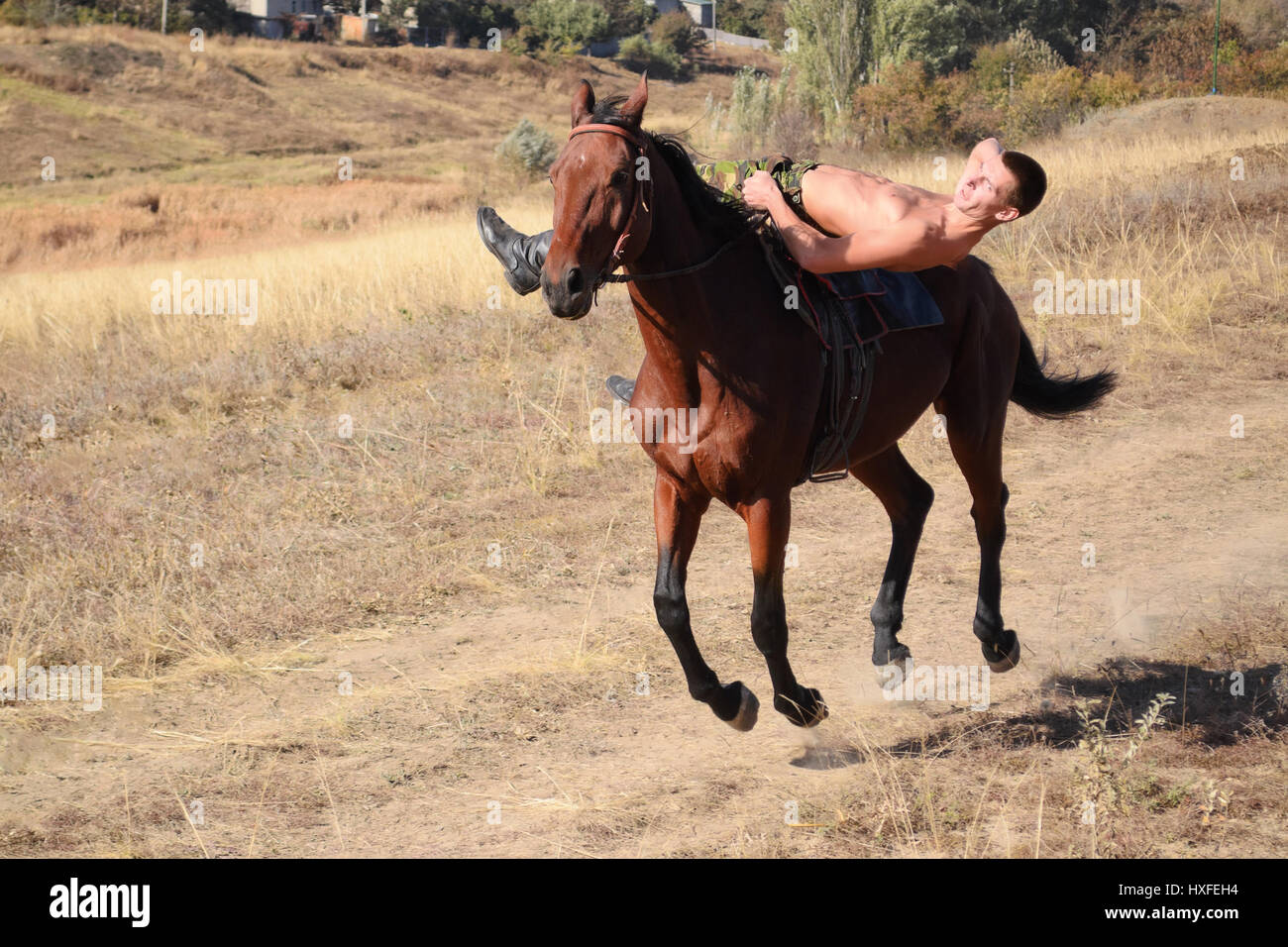 Escuela a caballo fotografías e imágenes de alta resolución Alamy