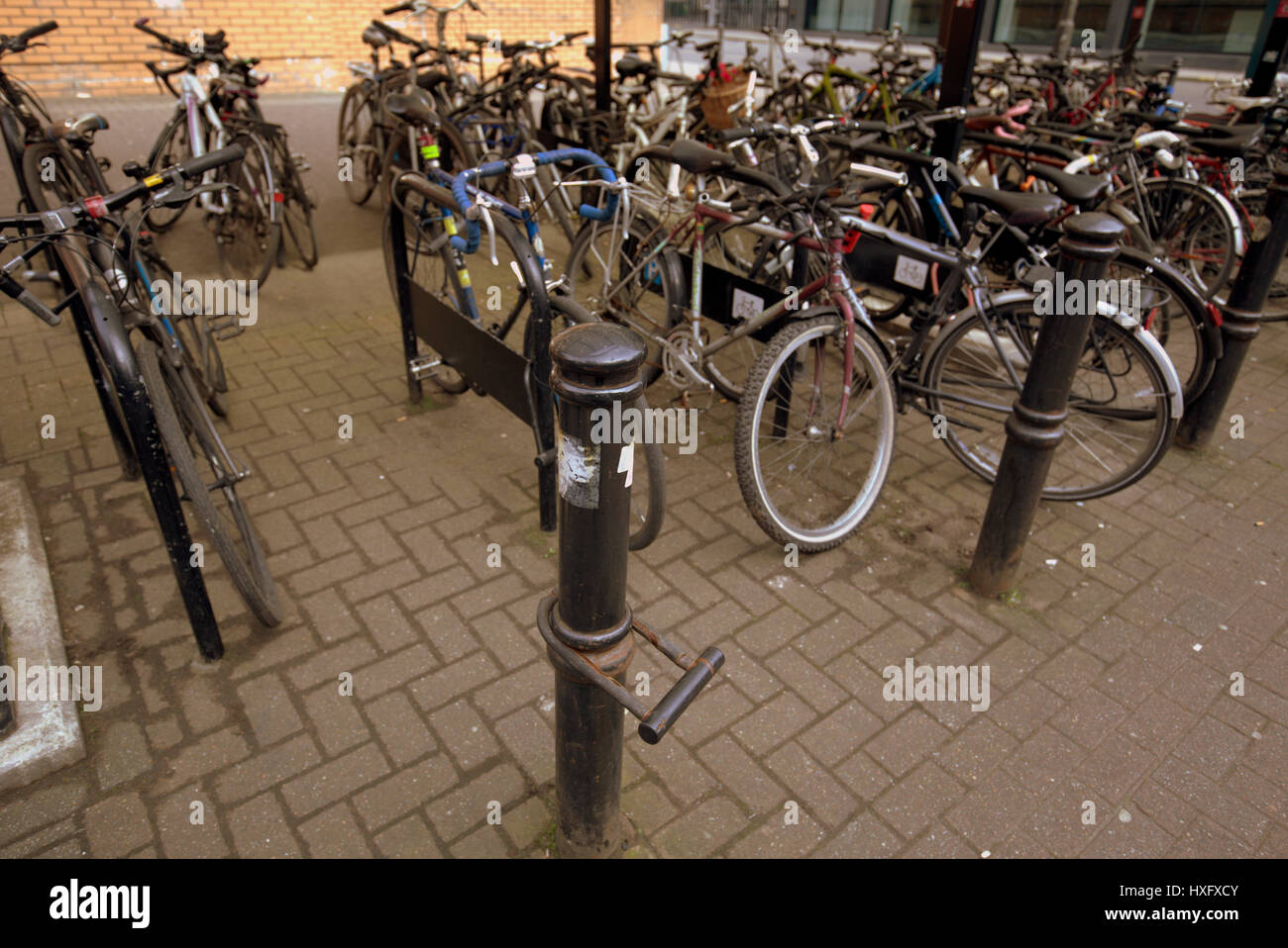 Real Conservatorio de Escocia bahías de estacionamiento de bicicletas Foto de stock