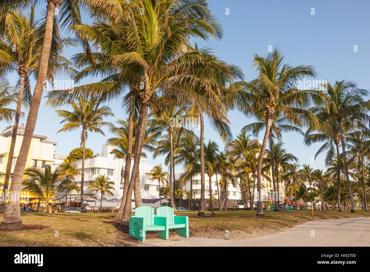 Parque con árboles de coco en Miami Beach. Florida, Estados Unidos Foto de stock
