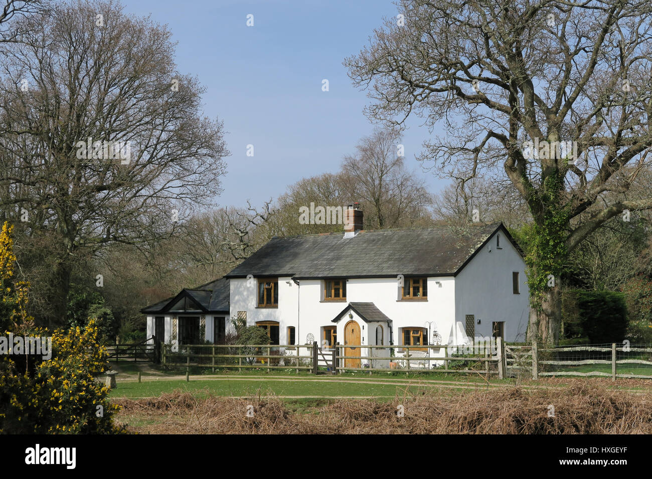 Quintessentially English New Forest cottage Foto de stock