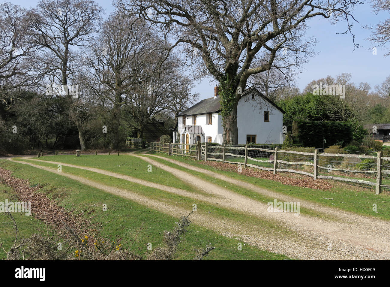Quintessentially English New Forest cottage Foto de stock