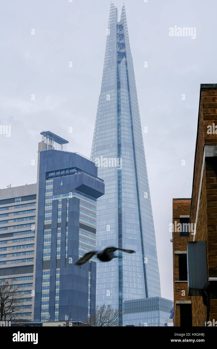 Pájaro volando delante de shard Foto de stock