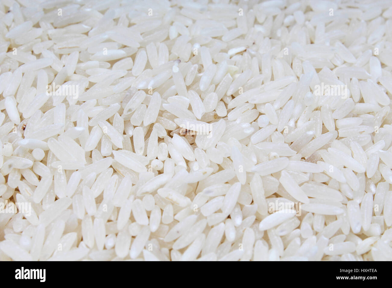 Fondo de arroz. La textura del arroz basmati largo patrón blanco, arroz