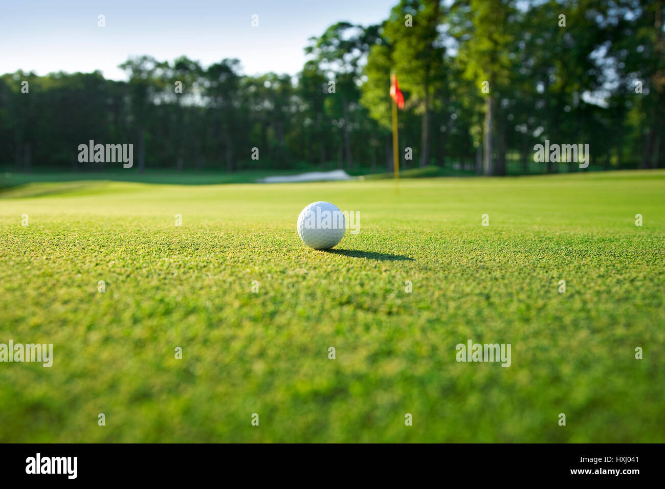 El enfoque selectivo de cerca de la pelota de golf en verde con bandera roja y árboles Foto de stock