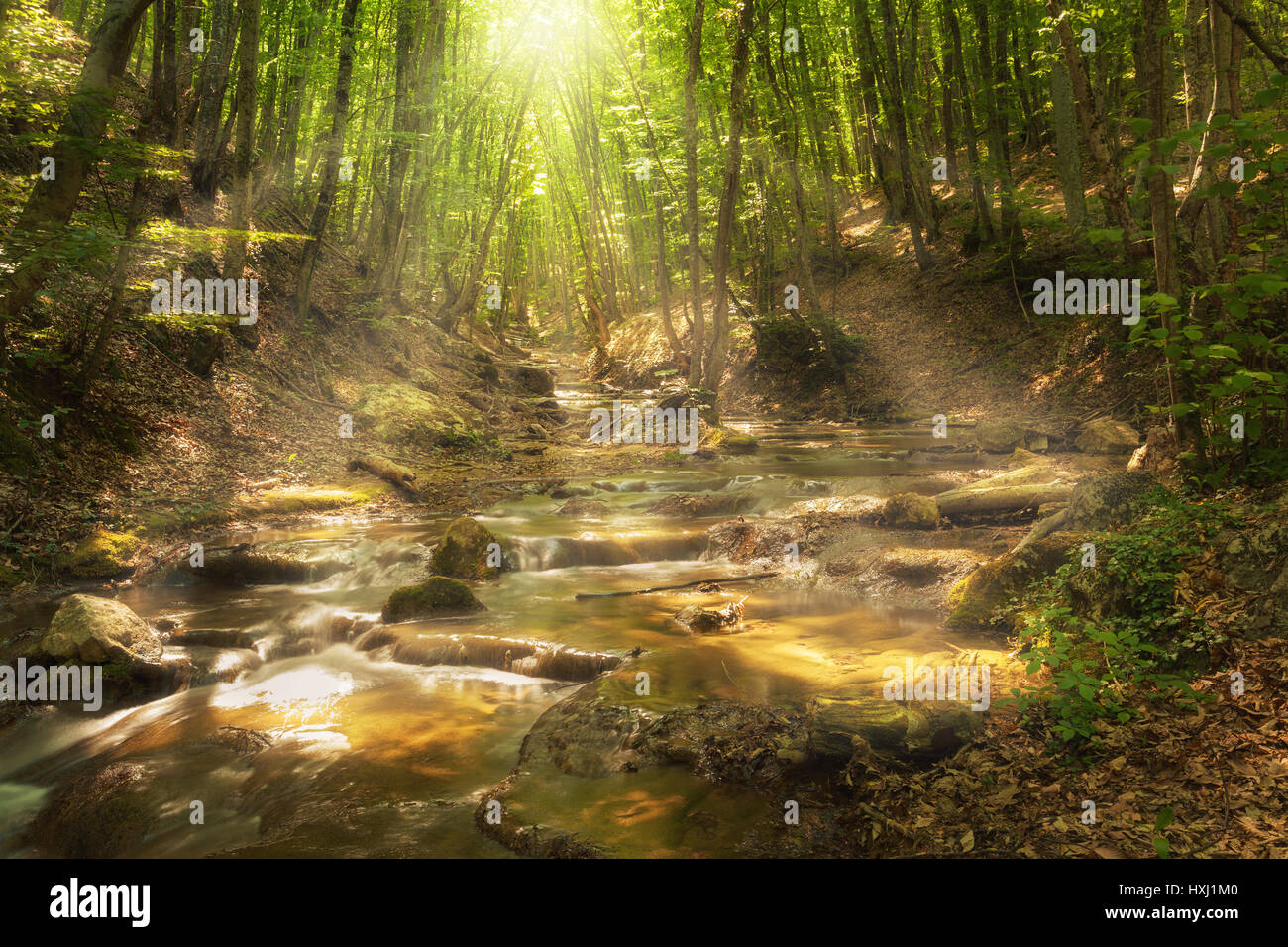 Hada del Bosque de montaña en el río con coloridos rayos de sol en la mañana de primavera. Fantástico paisaje con árboles, hojas verdes, piedras y borrosa en el agua Foto de stock