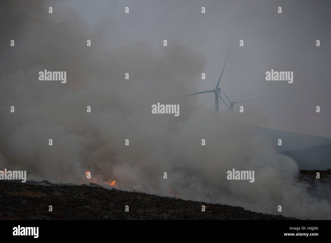 Humo de moorburn o muirburn bloquea Moy Wind Farm, cerca de Inverness. Se controla Muirburn heather quema y es considerada una importante práctica de manejo de la tierra. Foto de stock