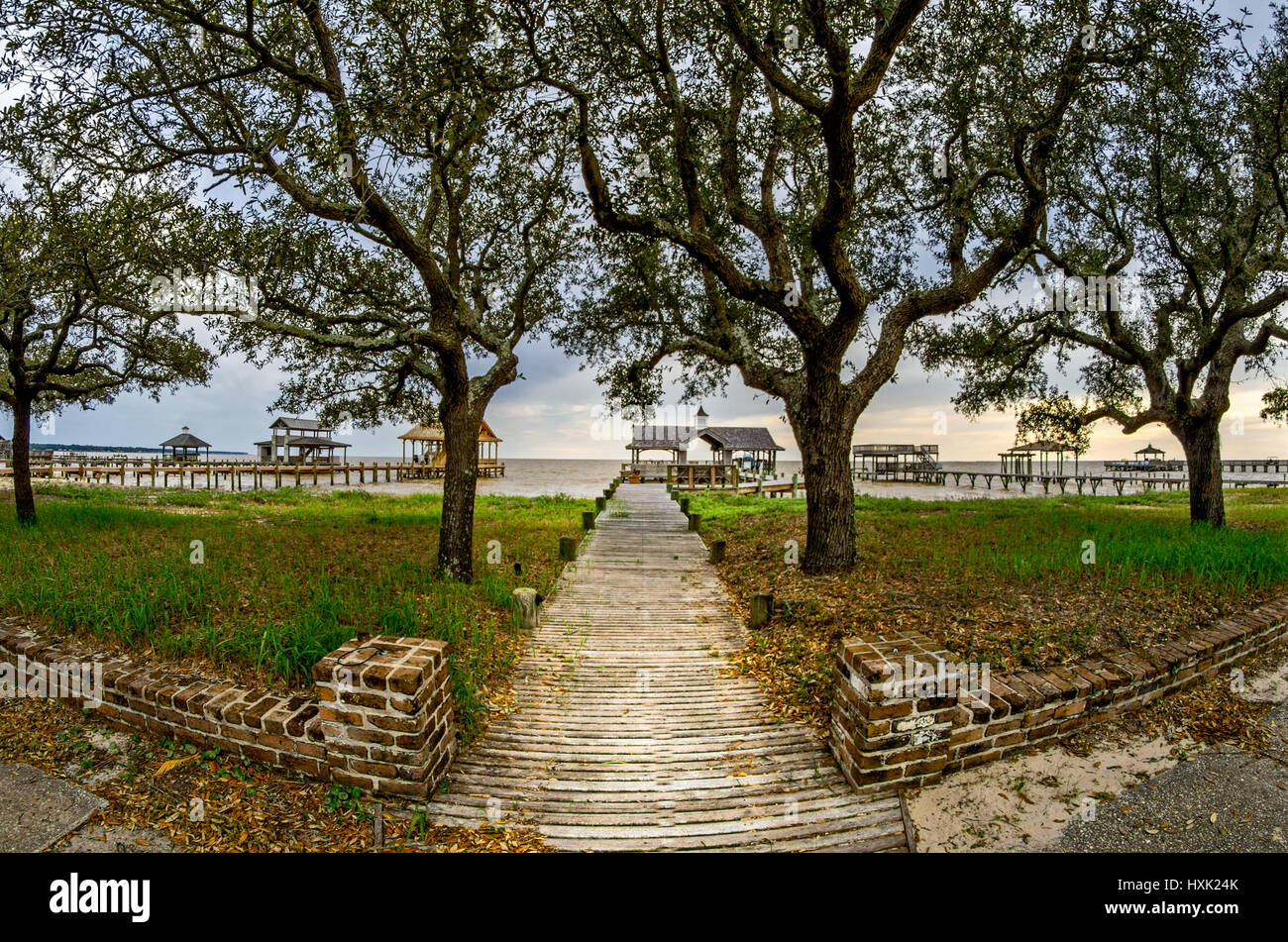 Sendero de madera para el Boathouse esbozadas con 4 árboles tomadas con una lente ojo de pez de 8mm Foto de stock