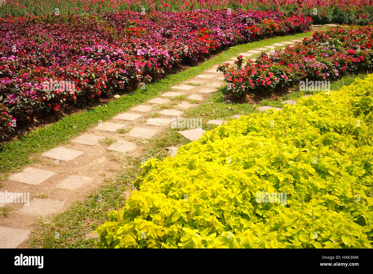 Verano luminoso jardín plantado junto al serpenteante sendero de mosaico Foto de stock