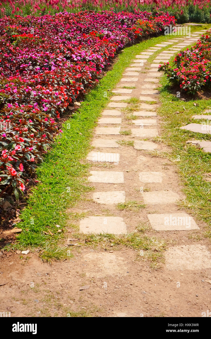 Verano luminoso jardín plantado junto al serpenteante sendero de mosaico Foto de stock