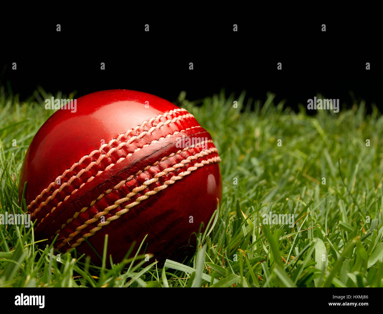 Bola de Cricket de cuero rojo Foto de stock