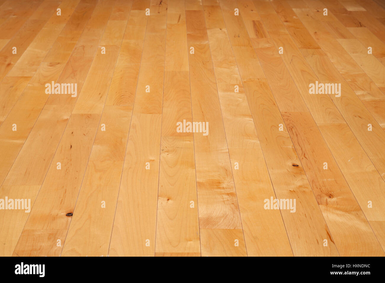 Una cancha de baloncesto suelo hecho de madera de arce vistos en un ángulo bajo Foto de stock