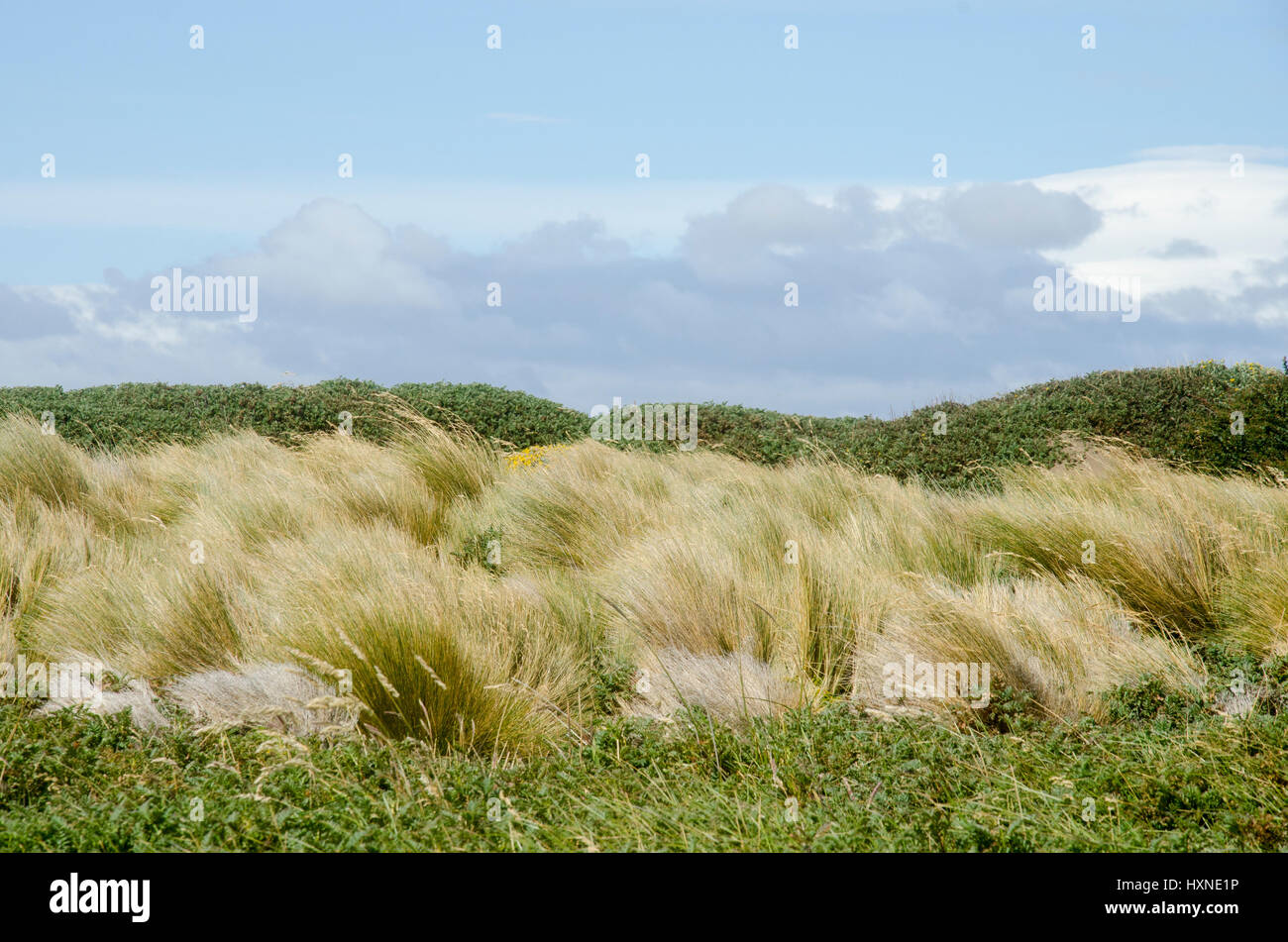 Seno Otway es un gran sonido continentales situadas entre la Península de Brunswick y la Isla Riesco, en el sur de Chile. Foto de stock