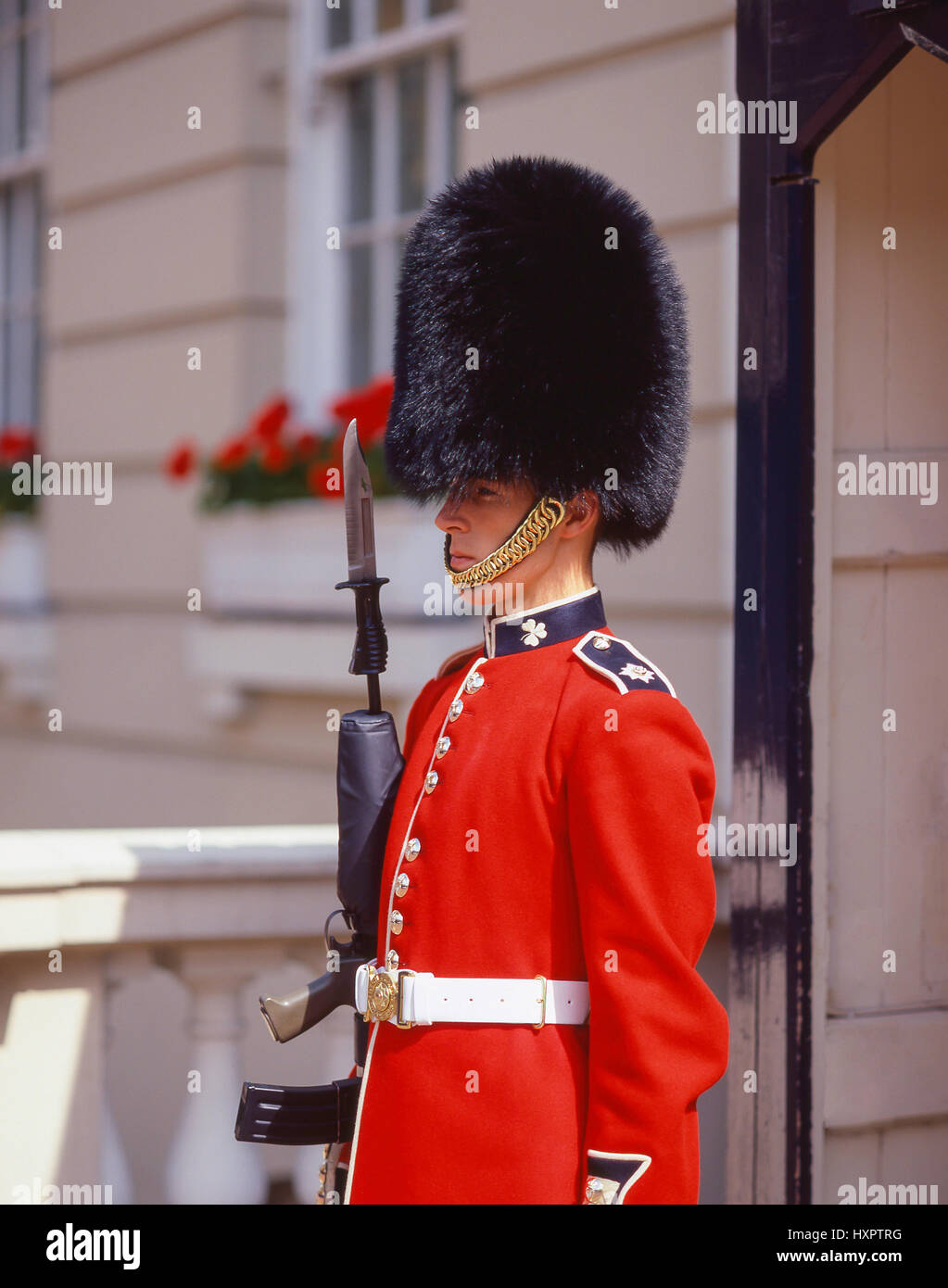 La guardia irlandesa en St James's Palace, Pall Mall, la ciudad de Westminster, Greater London, England, Reino Unido Foto de stock