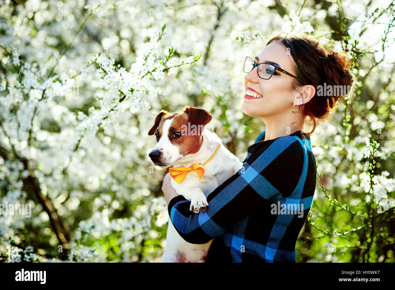 Bella mujer joven sonriente y sosteniendo un perro Jack Russell terrier en las manos sobre un fondo de árboles florecientes de primavera Foto de stock