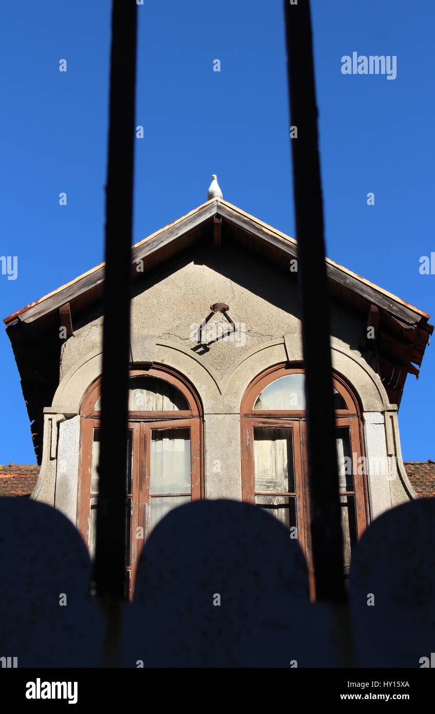 Un cielo azul y una gaviota en el tejado de una casa abandonada en Matosinhos, Oporto, Portugal. Esta foto fue tomada en Brito Capelo street en Matosinhos Foto de stock