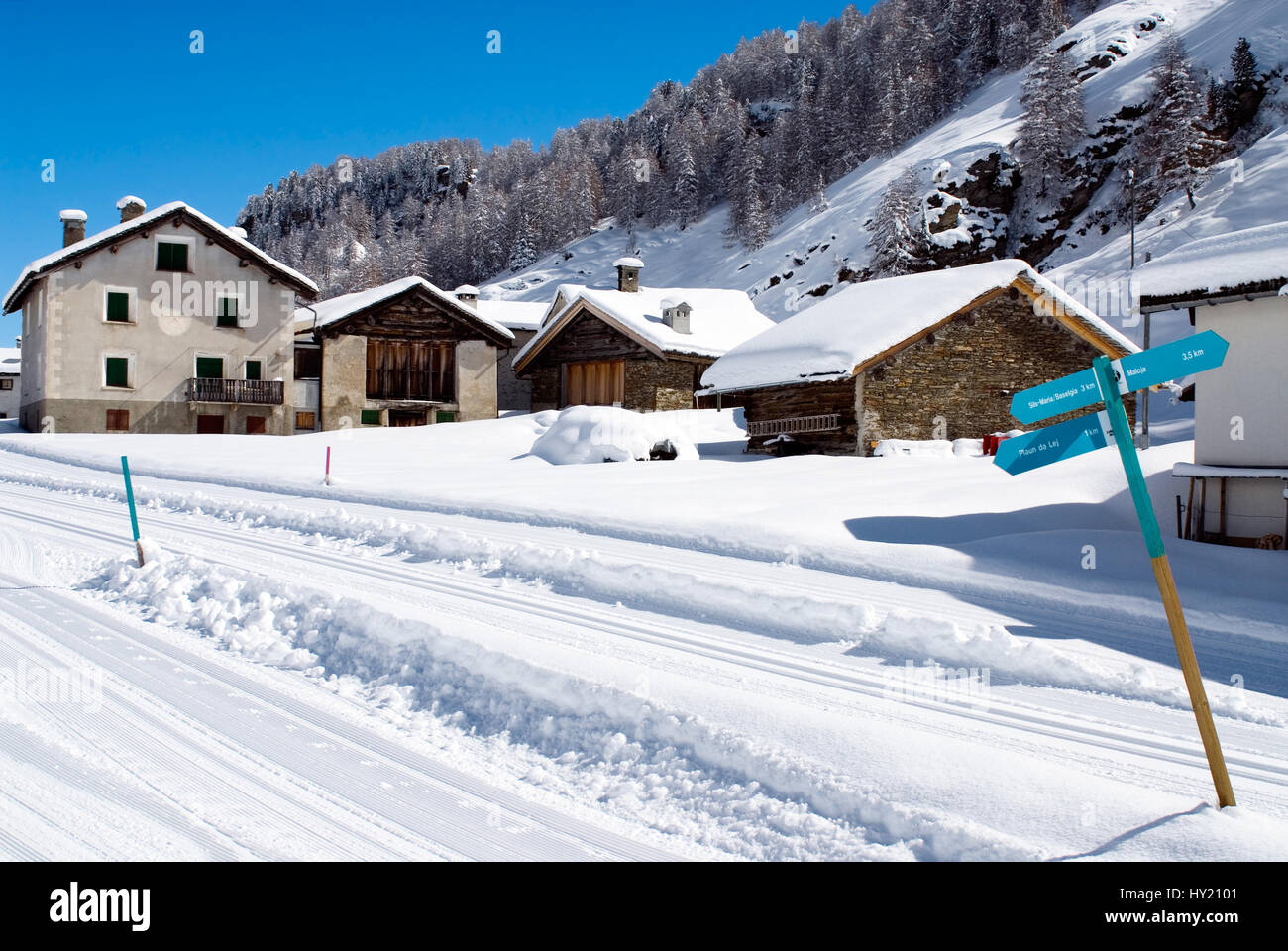 Langlauf Ski-Loipe am Dorf Isola am Silser Ver im Winter, Oberengadin, Schweiz | pista de esquí cross-country en la localidad de Isola en el lago de Sils, también ca Foto de stock