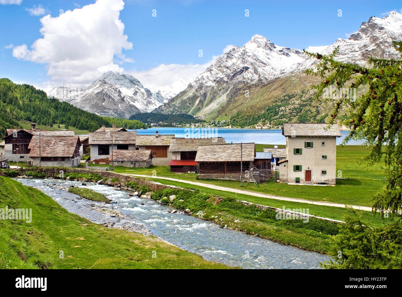 Dorf Isola am Silser Ver Im Sommer, Oberengadin, Schweiz | Village Isola en el lago de Sils, también llamado Aldea de cabra en otoño, Suiza Foto de stock