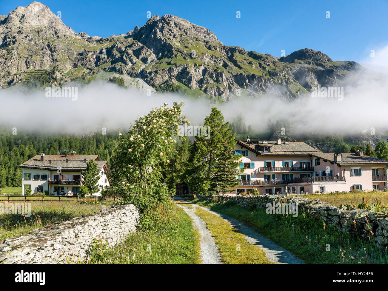 En verano, Sils-Baseglia Engadine, Suiza | Sils-Baseglia Im Sommer, Oberengadin, Schweiz Foto de stock
