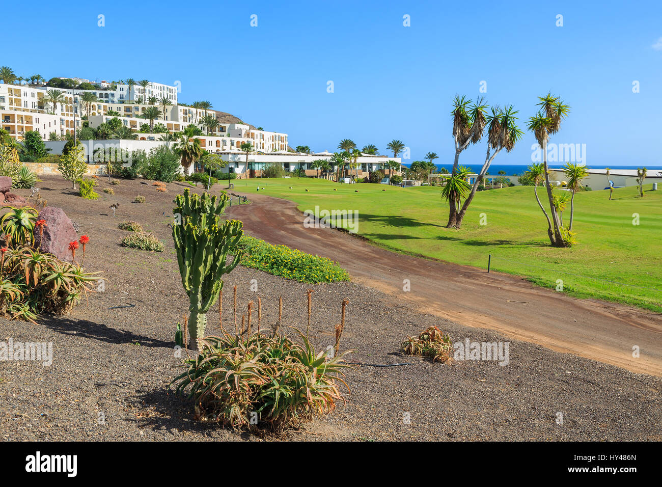 Jardín de plantas tropicales en la costa de Fuerteventura en las playitas village, Islas Canarias, España Foto de stock