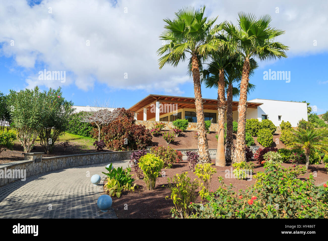 Jardín de plantas tropicales en la costa de Fuerteventura en las playitas village, Islas Canarias, España Foto de stock