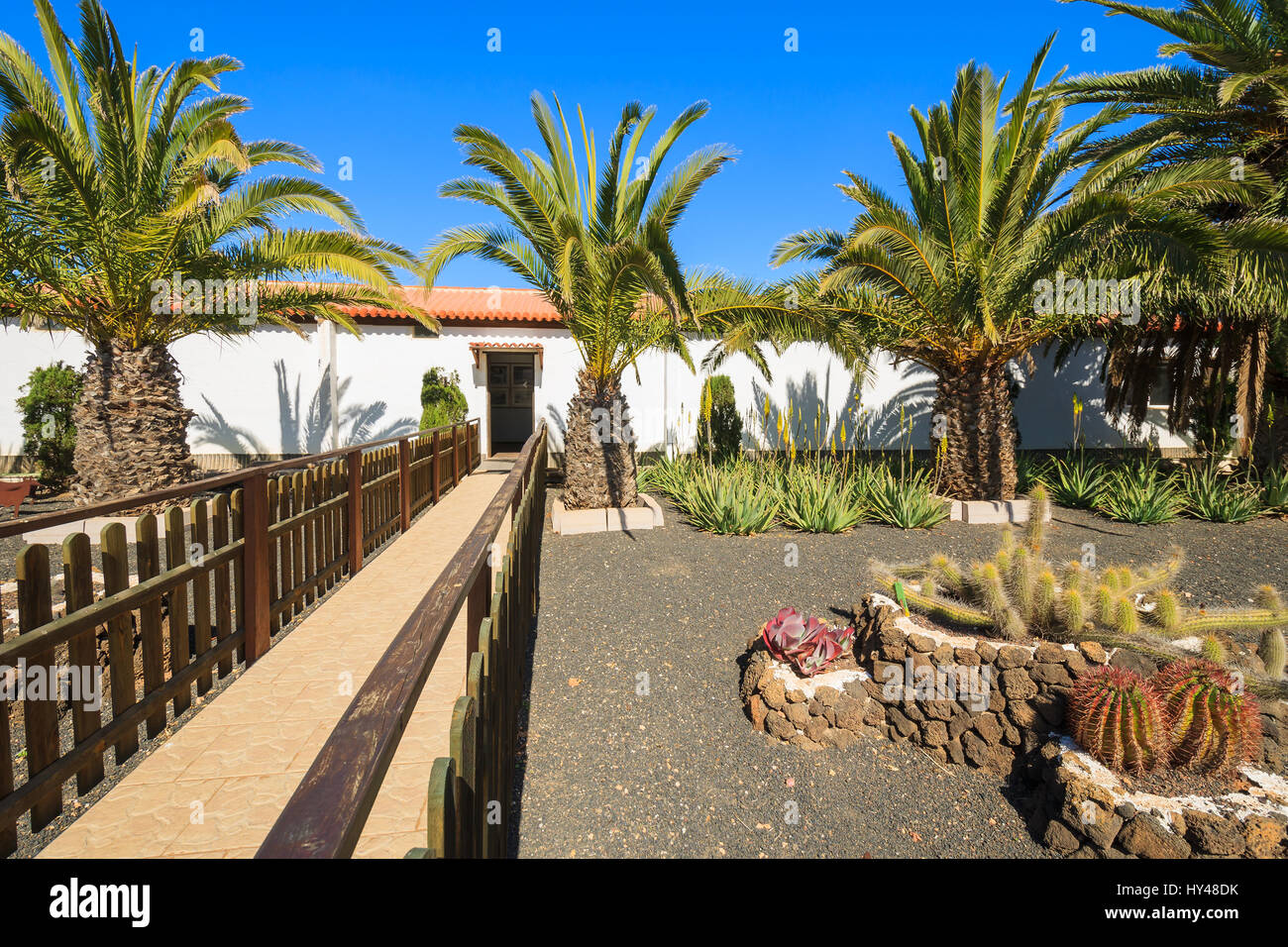 Edificios de estilo canario y plantas tropicales en La Oliva Heritage Village Art Center, Fuerteventura, Islas Canarias, España Foto de stock