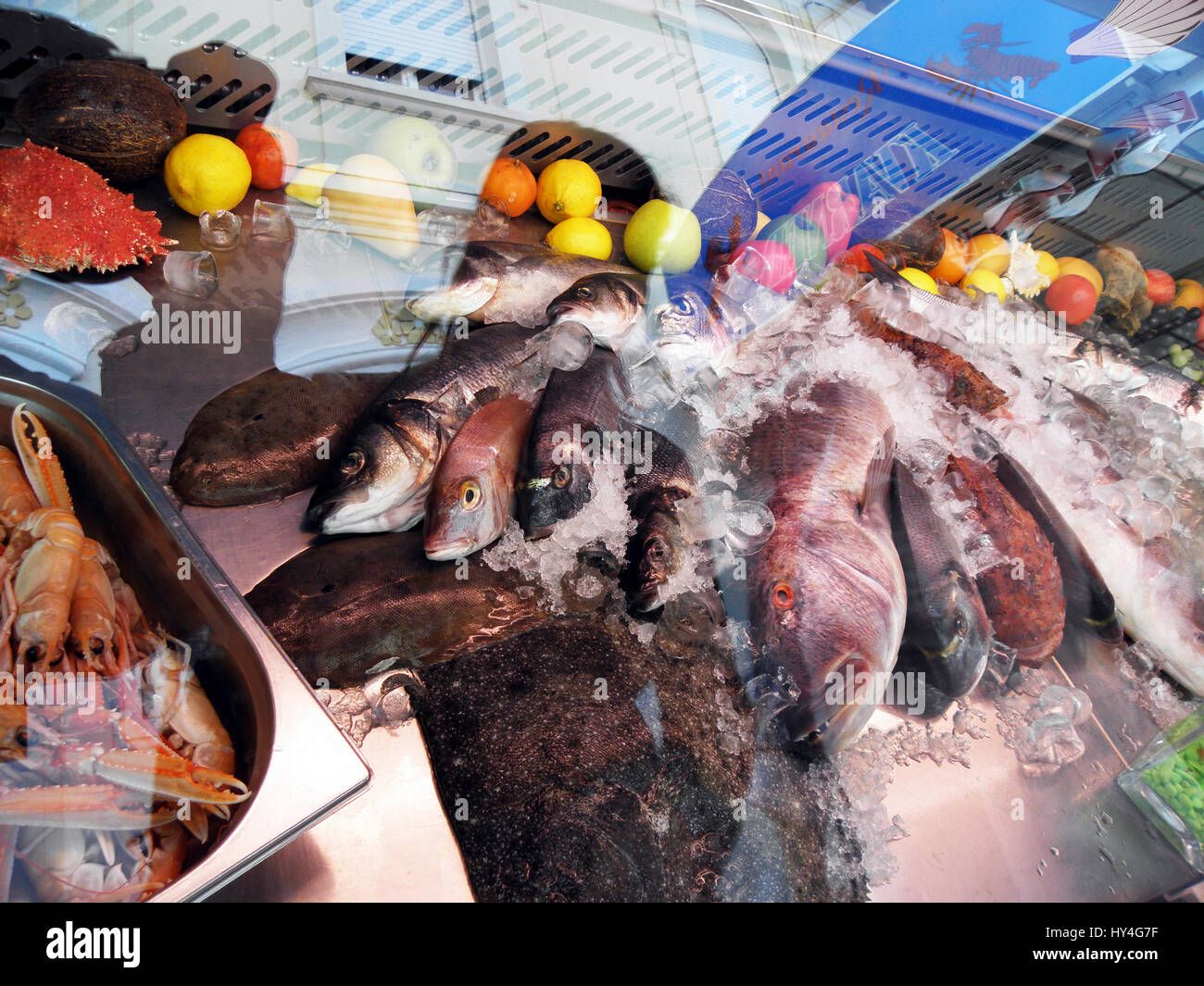 Lovran,costa del Adriático,detalles,oferta de peces,Croacia,Europa,2 Foto de stock
