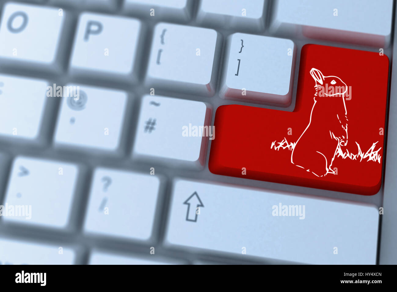 Conejo rojo contra la tecla Intro en el teclado Fotografía de stock - Alamy