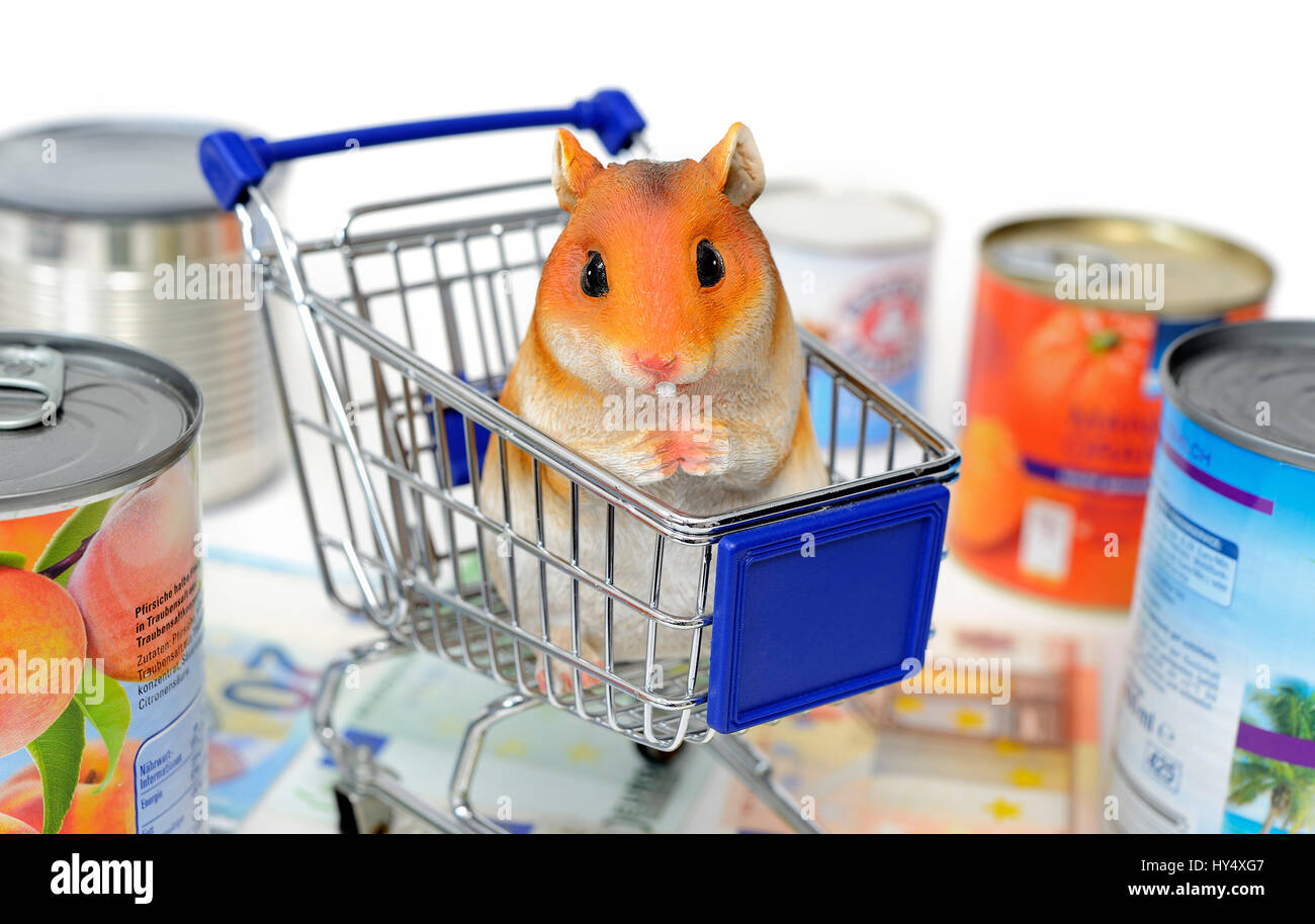 La figura del hámster en el carrito de la compra, la compra de hámster fotografía simbólica, IM, Symbolfoto Hamsterfigur Einkaufswagen Hamsterkaeufe Foto de stock