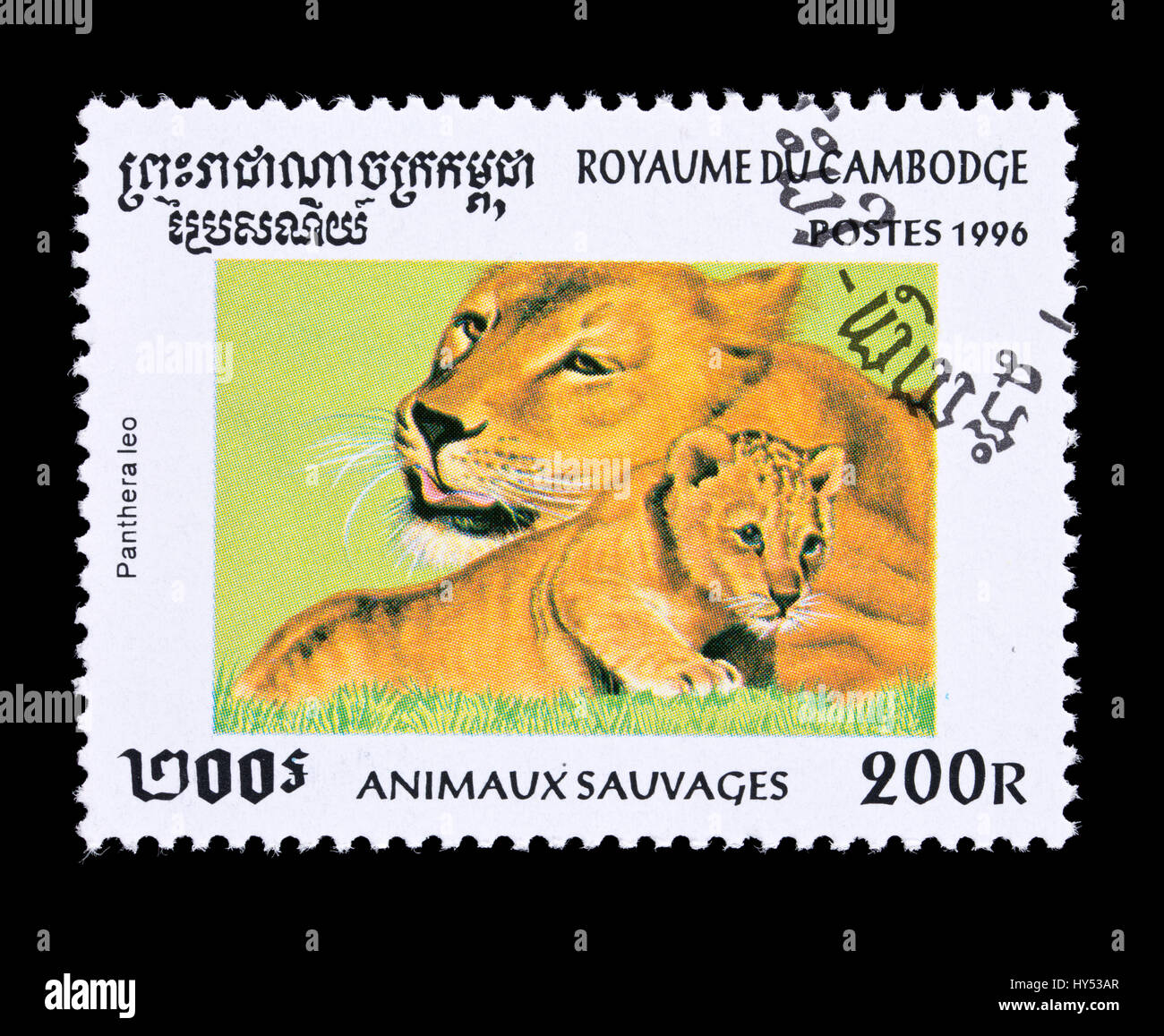 Sello de Camboya representando una hembra y un cachorro de león (Pantera leo) Foto de stock
