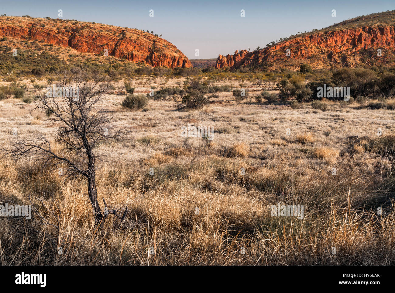 Formaciones de roca roja en Glen Helen Gorge orificio de agua en el Territorio del Norte de Australia Central Foto de stock