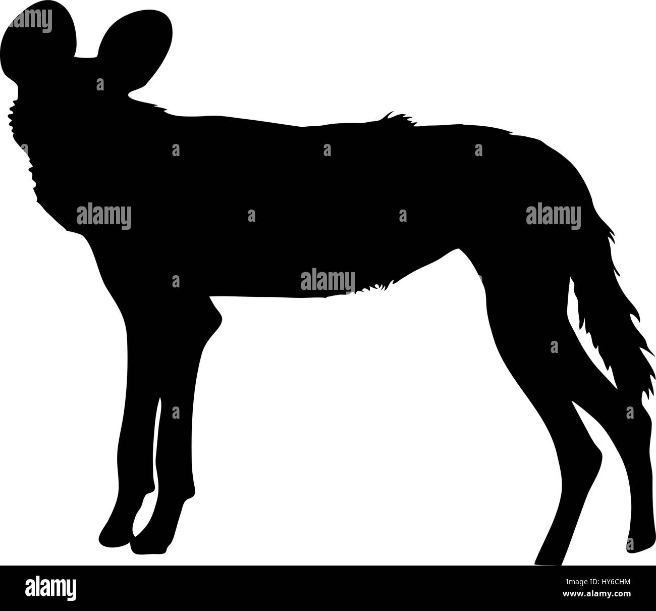 Silueta de un hambre y nervioso perro salvaje Ilustración del Vector