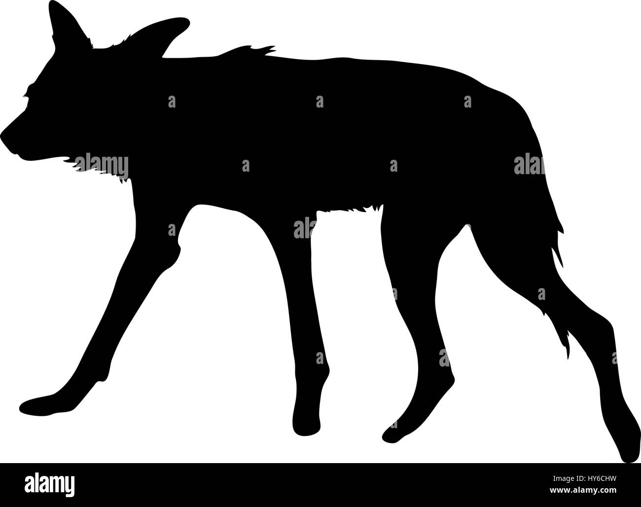 Silueta de un hambre y nervioso perro salvaje Ilustración del Vector