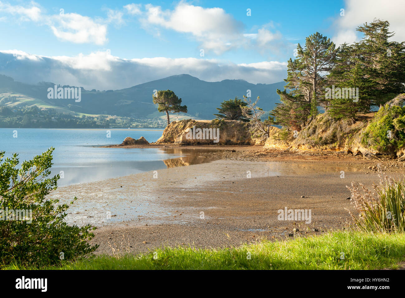 Atardecer en el oriental puerto de Otago de Dunedin, Nueva Zelanda Foto de stock