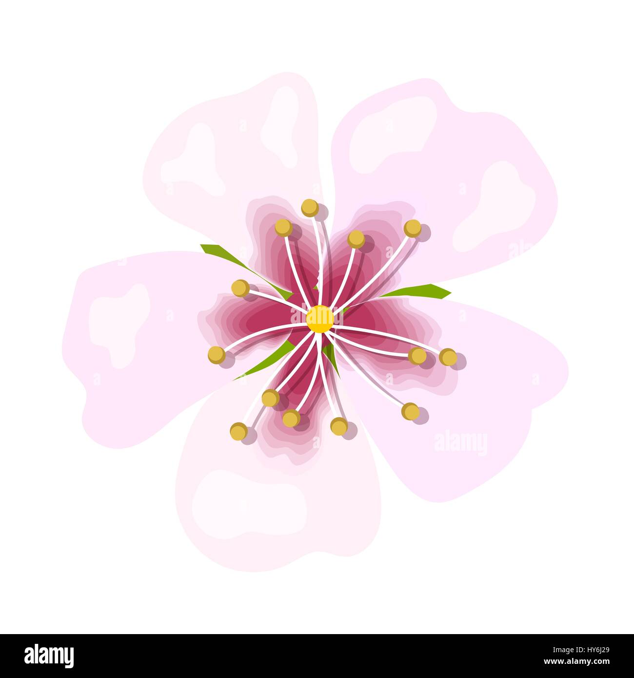 Flor de almendra Imágenes vectoriales de stock - Alamy